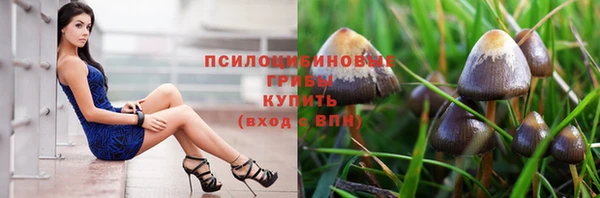 не бодяженный Михайловск