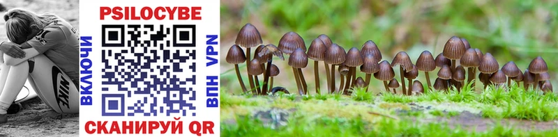 Купить закладки  Новый Оскол  Псилоцибиновые грибы Magic Shrooms 